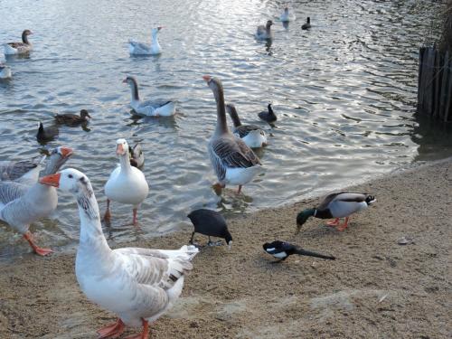 Parc Paysager de Saint Nazaire