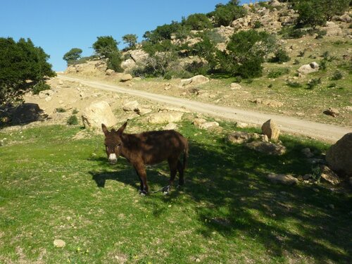 Autour d'Agadir