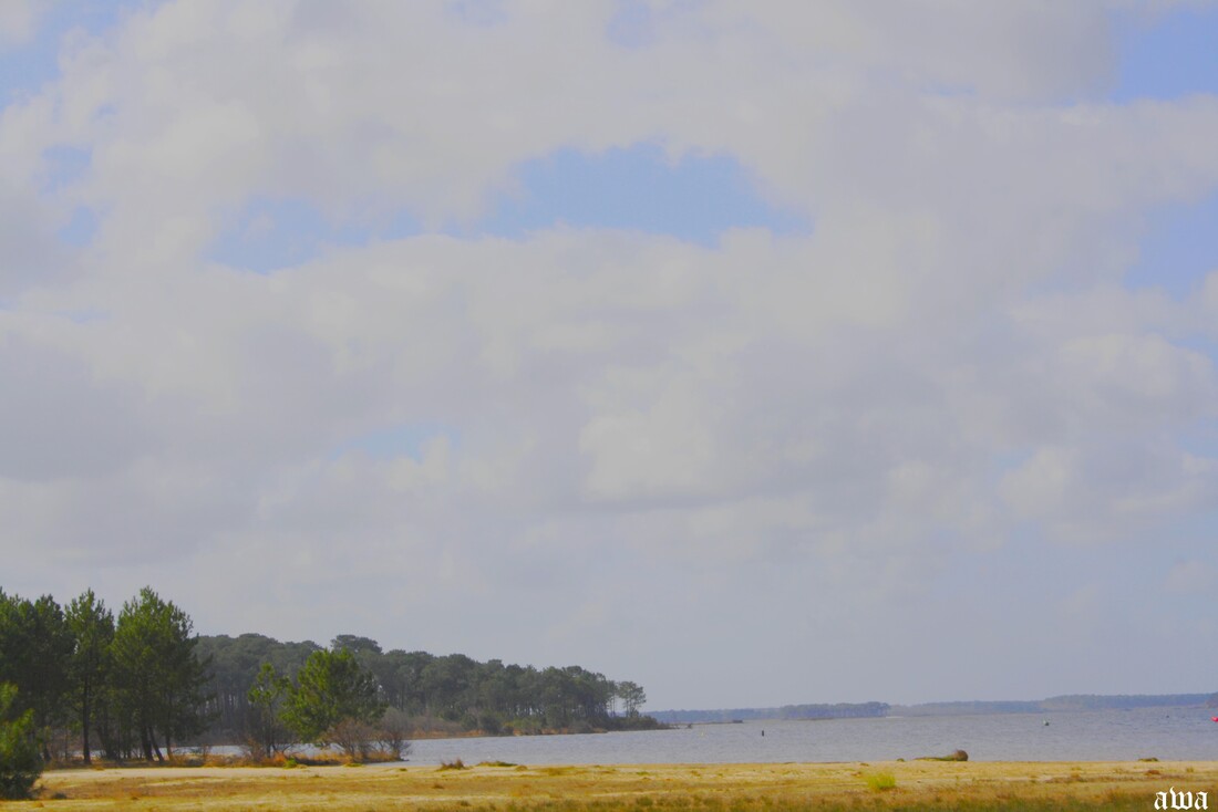 Le long du lac de Lacanau fin fevrier 2015