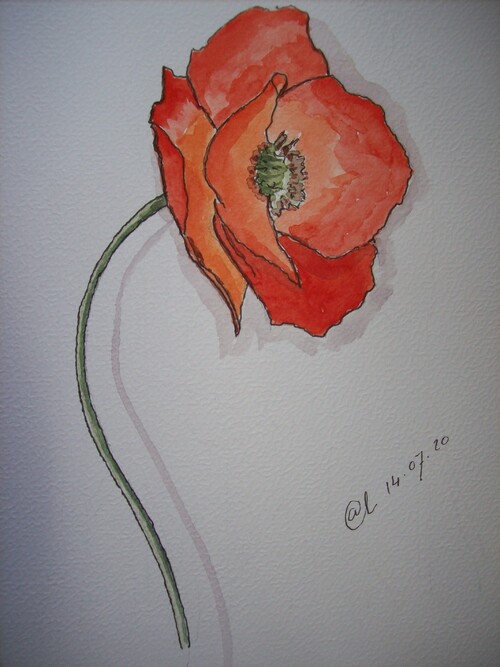 Coquelicot .