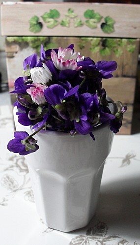 violettes--2-.JPG