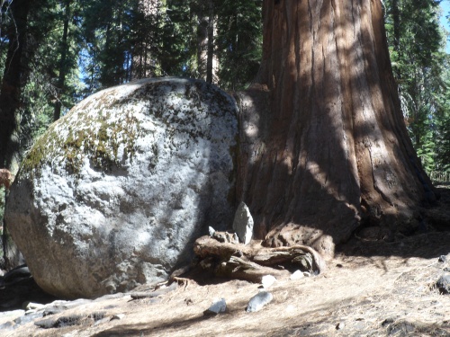 Kings Canyon et Séquoia National Park