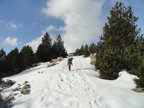 Cabane (1 nuit) : cabane de Veirat (Cerdagne) - 66