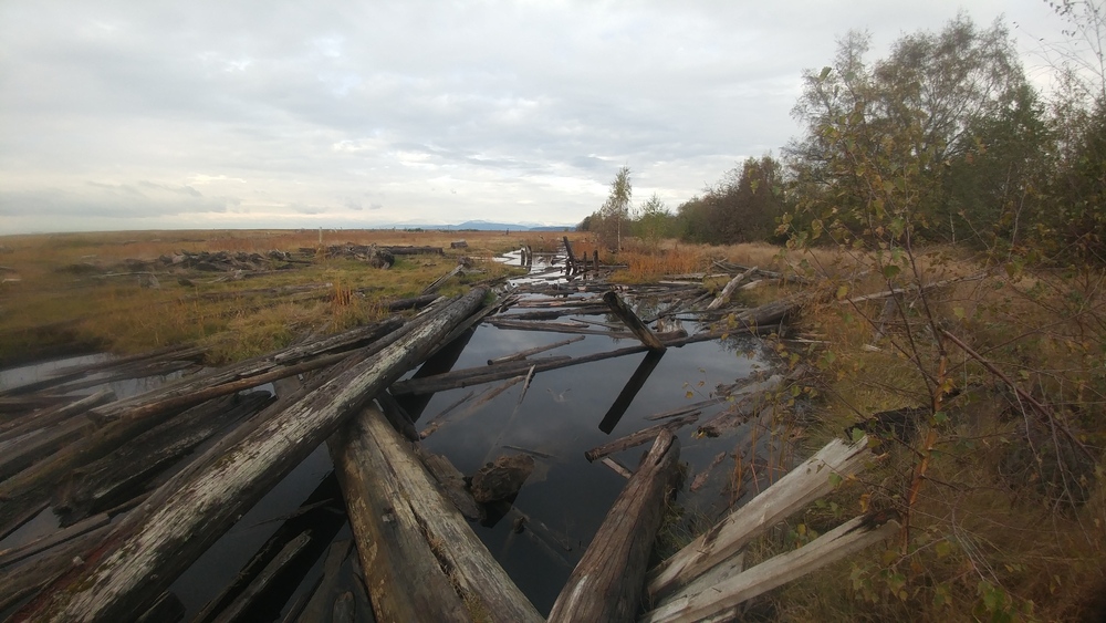 November Break in Vancouver: Third Day: Beaches and Shores