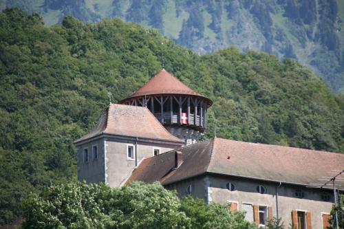 L’étymologie du mot Faverges provient du latin « faber » (forge) et rappelle que la commune est depuis des siècles vouée à l’artisanat. Les premières traces du passé de Faverges remontent à l’époque gallo-romaine. La cité, alors nommée Casuaria, était une étape importante reliant Moûtiers à Genève. Plus tard, une colonie barbare édifie une construction fortifiée sur le promontoire où se trouve actuellement le château. A partir du 12e siècle, des générations d’artisans se succèdent au pied du château, exploitant forges, coutelleries, tanneries et papeteries. En 1811, le château accueille une fabrique de tissage et de traitement du coton, puis une soierie. Au début du 20e siècle, deux importantes maisons s’installent à Faverges : S.T. Dupont qui fabrique des produits de luxe (maroquinerie, briquets, stylos) et Stäubli qui développe trois gammes de produits dans les domaines du textile, des raccords et de la robotique industrielle. Après la seconde guerre mondiale, la société Bourgeois (fours et cuisinières) s’installe à son tour à Faverges.