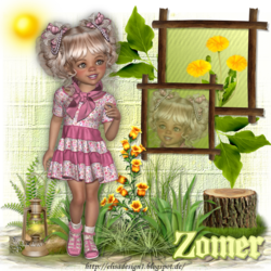 Zomer