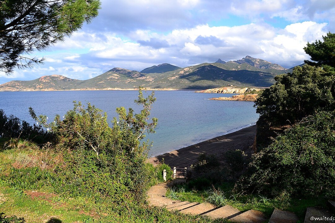 Galéria - La plage en hiver 21-01-2016 ©maiteds