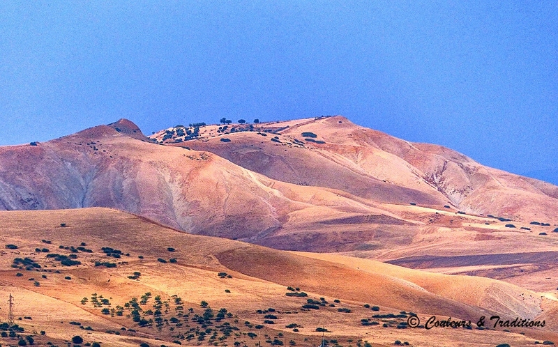 Campagne autour de Fès