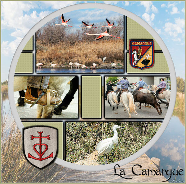 La Camargue