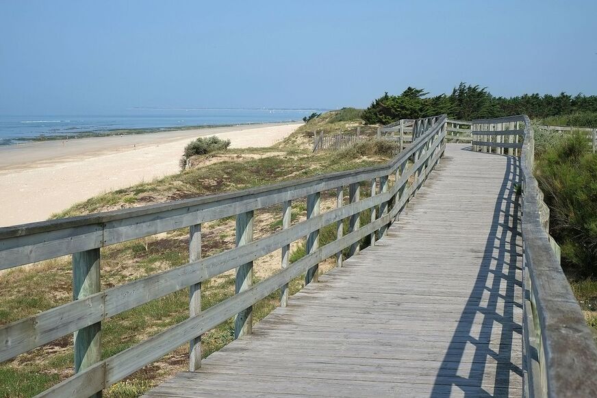 778 - Promenade sur les dunes - Le Bois Plage.jpg