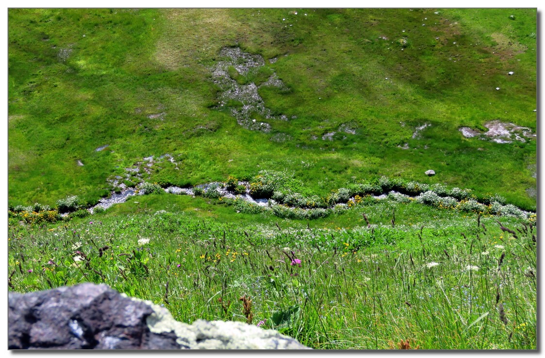 LE  COL  DU  PETIT  ST BERNARD   SUITE 