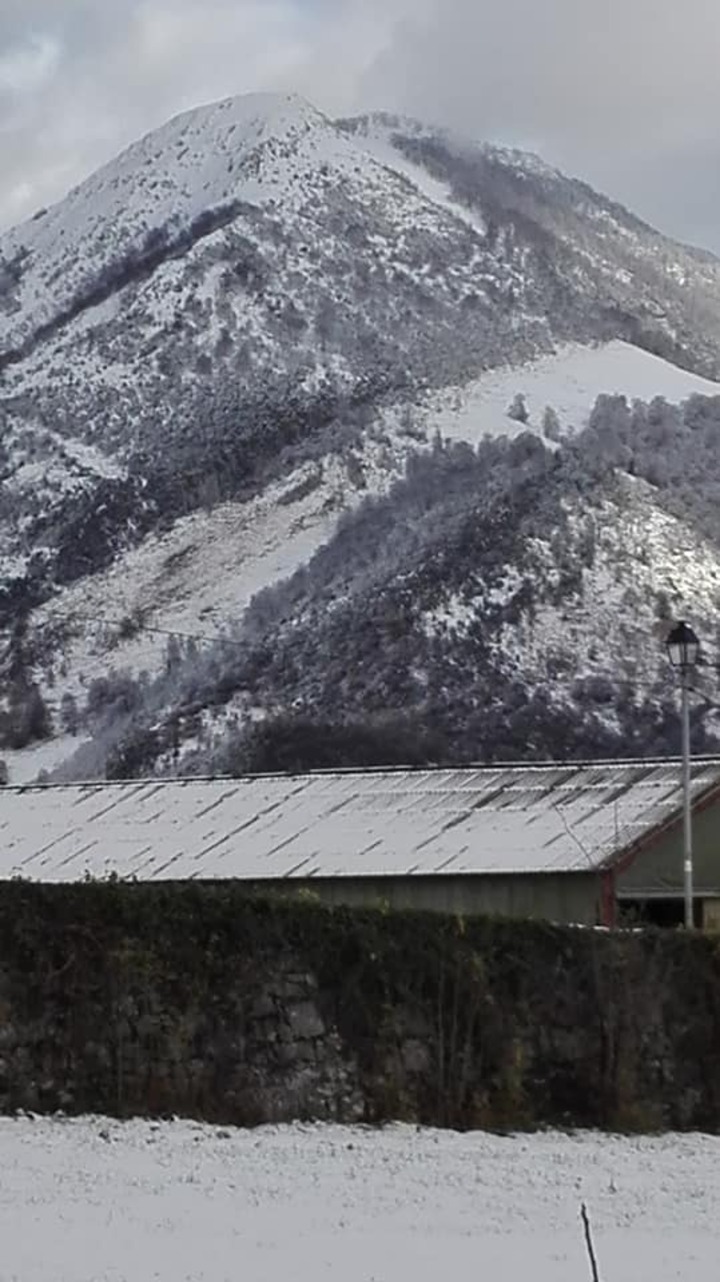 Neige en vallée d'Ossau...