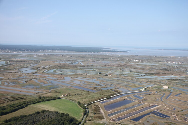 parcs à huitres