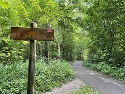 La forêt de la Robertsau - Office de tourisme de Strasbourg et sa Région