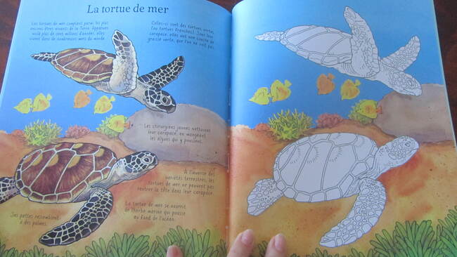 Coloriages des éditions Usborne