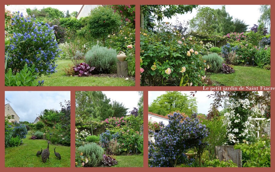 Le petit jardin de Saint Fiacre