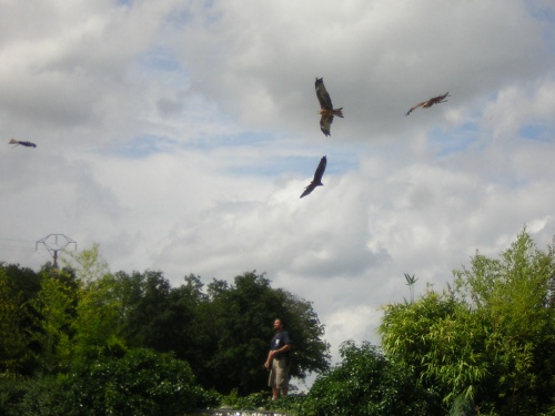 PARC ZOOLOGIQUE DE BEAUVAL EN SOLOGNE