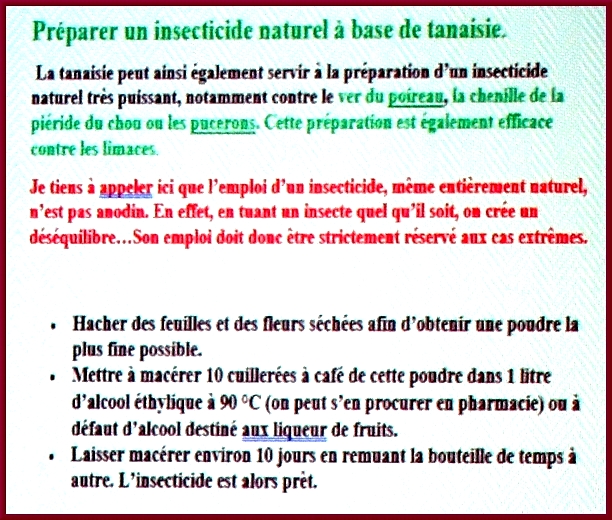 Gilles Seytre a présenté  au club des Anciens de Nod sur Seine, une étude fort intéressante sur les propriétés de plantes que nous pouvons cultiver dans nos jardins