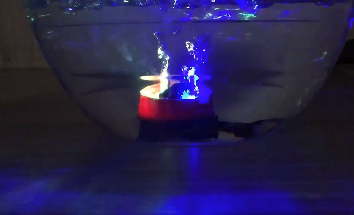 hot glue in aquarium