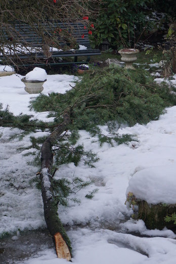 Le géant et la neige