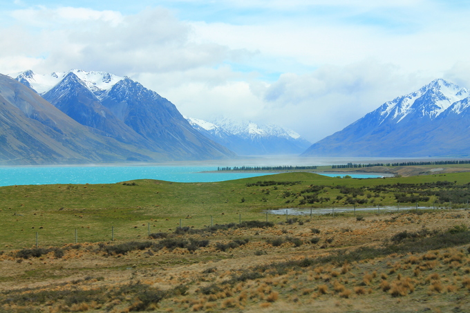 Nouvelle-Zélande : Lac Tekapo