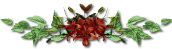transparent http://ekladata.com/67INq4e1zN0Axr58dc5bgEzEbvA@500x143.png