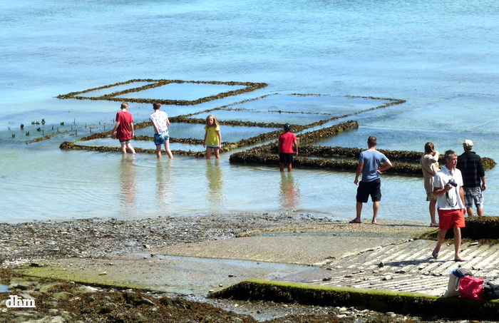 Les huîtres de Cancale en Bretagne 