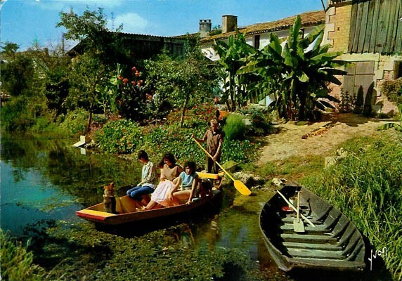 Carte postale : le marais poitevin