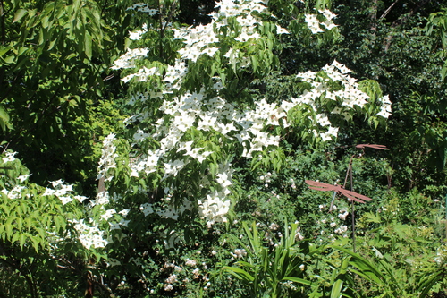 Rendez-vous au jardin -1