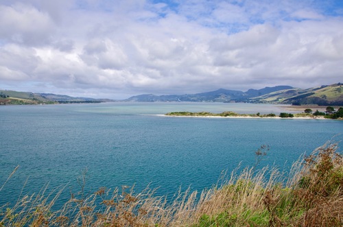 Jour 10 - Otago Peninsula