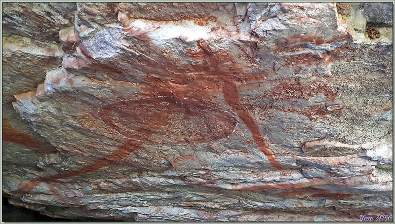 18/09/2022 : Peintures rupestres du peuple Worrorra - Wijingarra Bard Bard (Freshwater Cove) - Kimberley - Australie