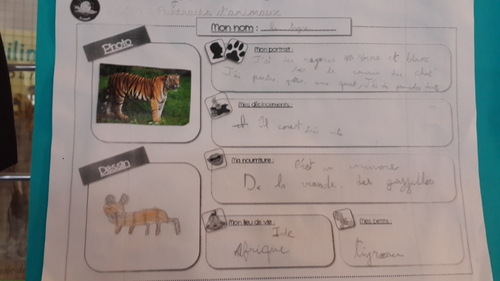 carte d'identité des animaux