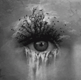 tumblr_nit5esRRz21t0l1jvo1_500