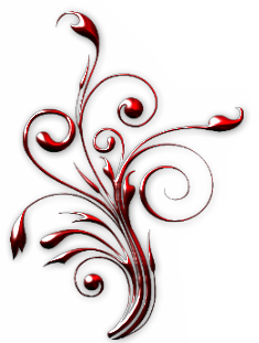 6BiJ41RCZaKWEAXuLc_UAqbqRkk@250x331.png