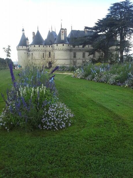 Festival des jardins