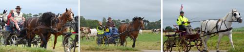 15 Juillet - Témoignage - La seconde 1/2 étape - Quiberville => Veules