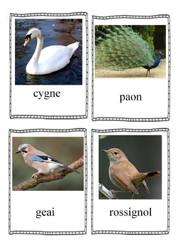 Imag'mots oiseaux