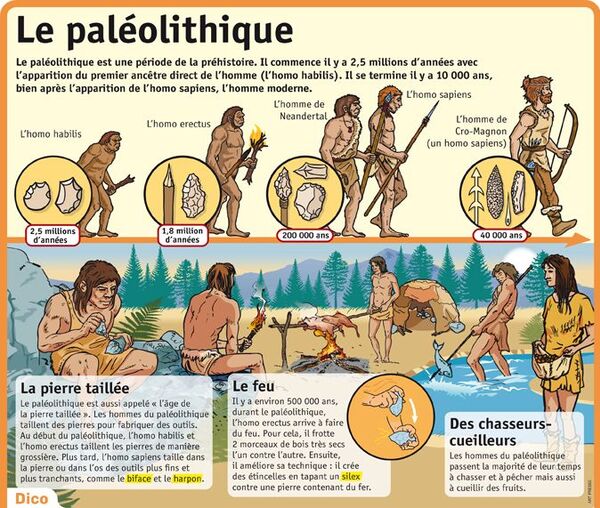 La Paléolithique 5H