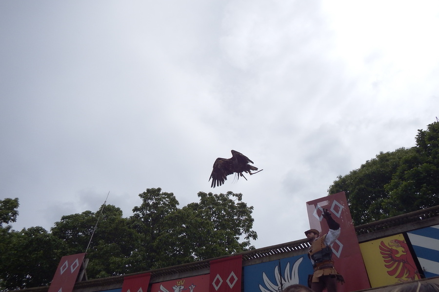 le puy du fou 2013 (2)