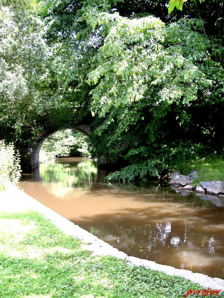 Limoges et ses parcs : Un détour vers le Parc du Moulin Pinard  