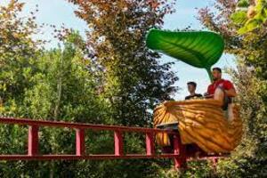 season balloons botanica terra botanica 