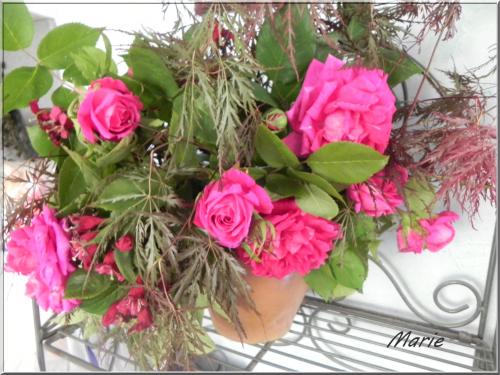 Les bouquets