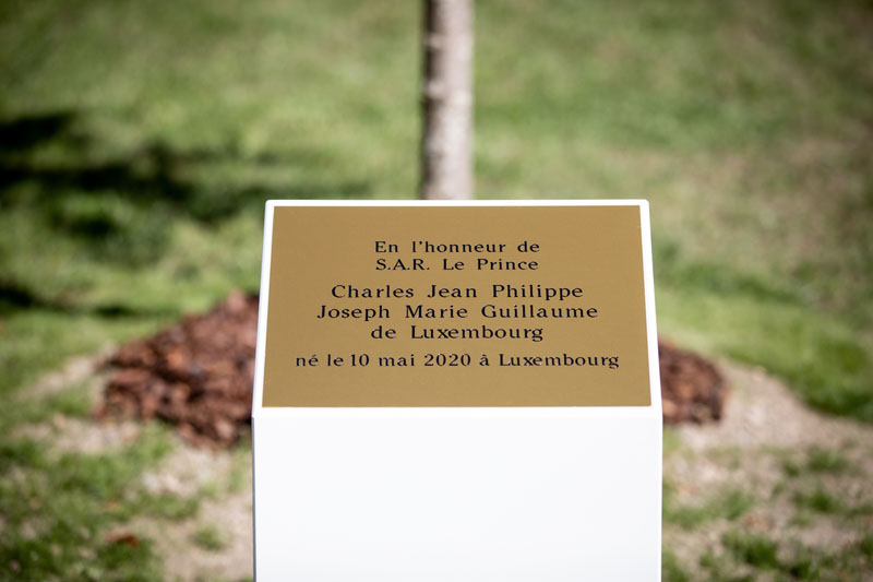 Plantation d'un arbre en l'honneur du Prince Charles 
