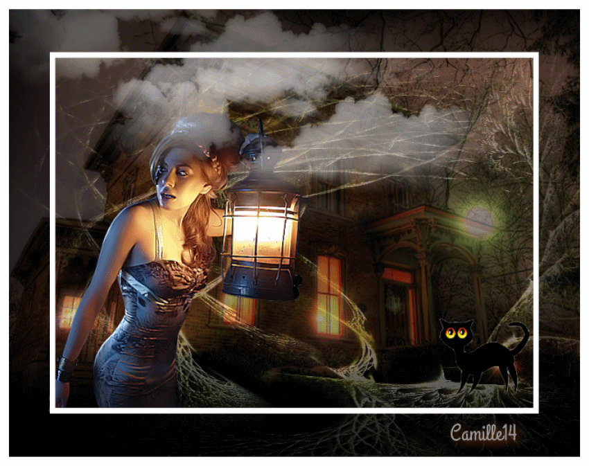 Nuit d'Halloween 191126101829112723