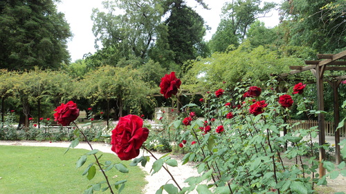 Parc du Château de Val Seille à Courthézon