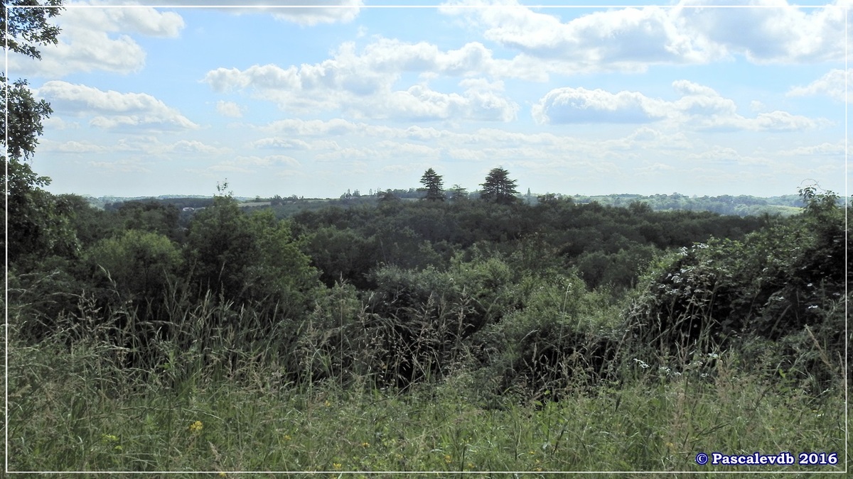 Le sentier de Monco à Auros - Juin 2016 - 1/3