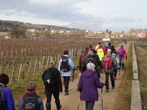 "Entre Plateau et Vignes"