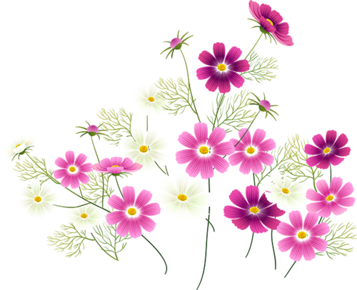tavaszi virág tubes