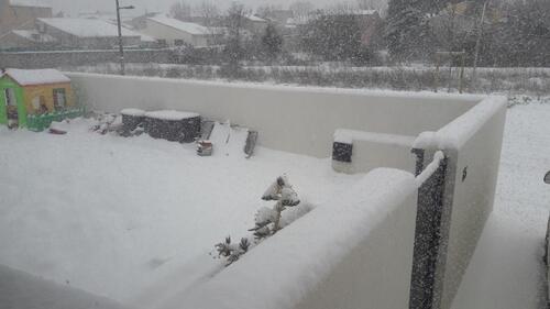 Mercredi 28 février, J+1299: Coincées par la neige!