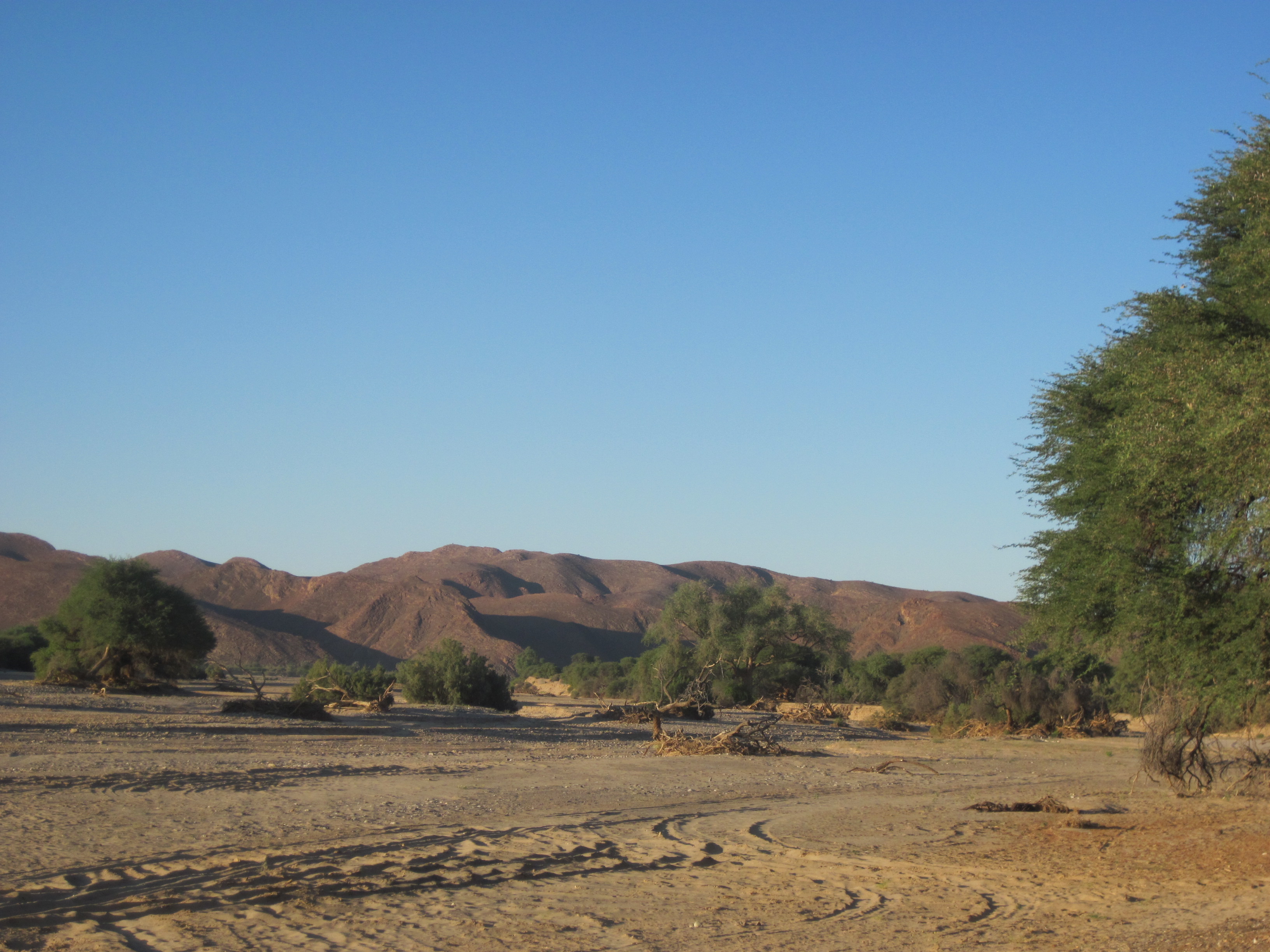 Dans Hoanib River camping à Purros